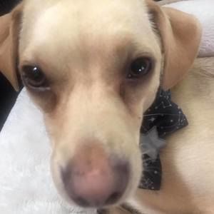 Meet your Posher, Kris